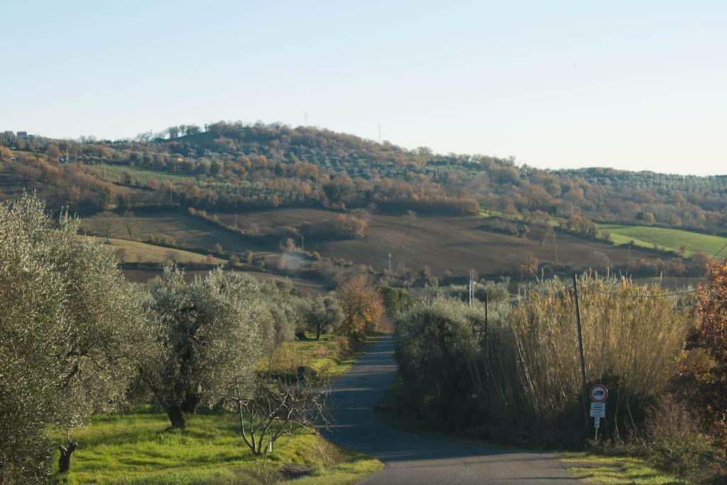 Le Casette Country House 2 Petricci Εξωτερικό φωτογραφία